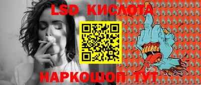 шишки Донской