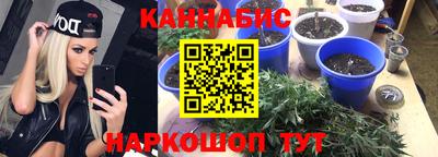 шишки Донской